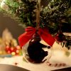 Funny Christmas Ball Ornaments, Mini Hanging Decorations for Family and Friends